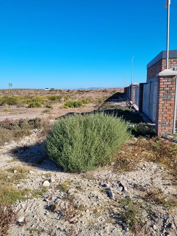 0 Bedroom Property for Sale in Saldanha Industrial Western Cape